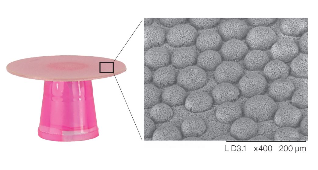 Shofu Super Snap Mini Kit CA