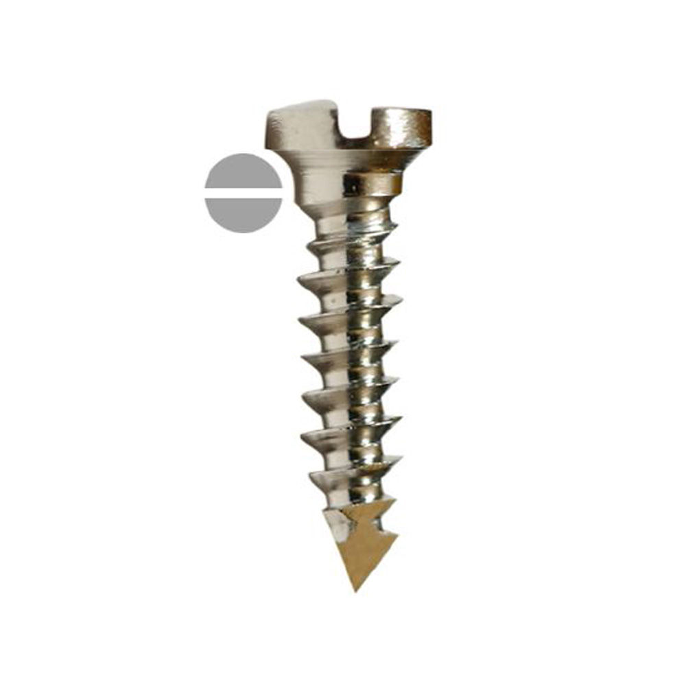 SK Surgicals SS Single Slot Screws - 2.5mm x 4mm (2504S)
