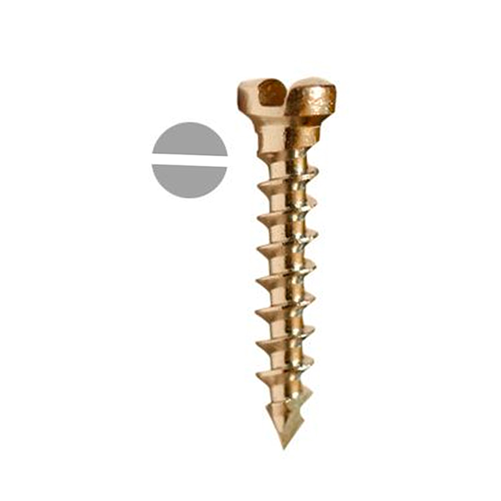SK Surgicals SS Single Slot Screws - 1.5mm