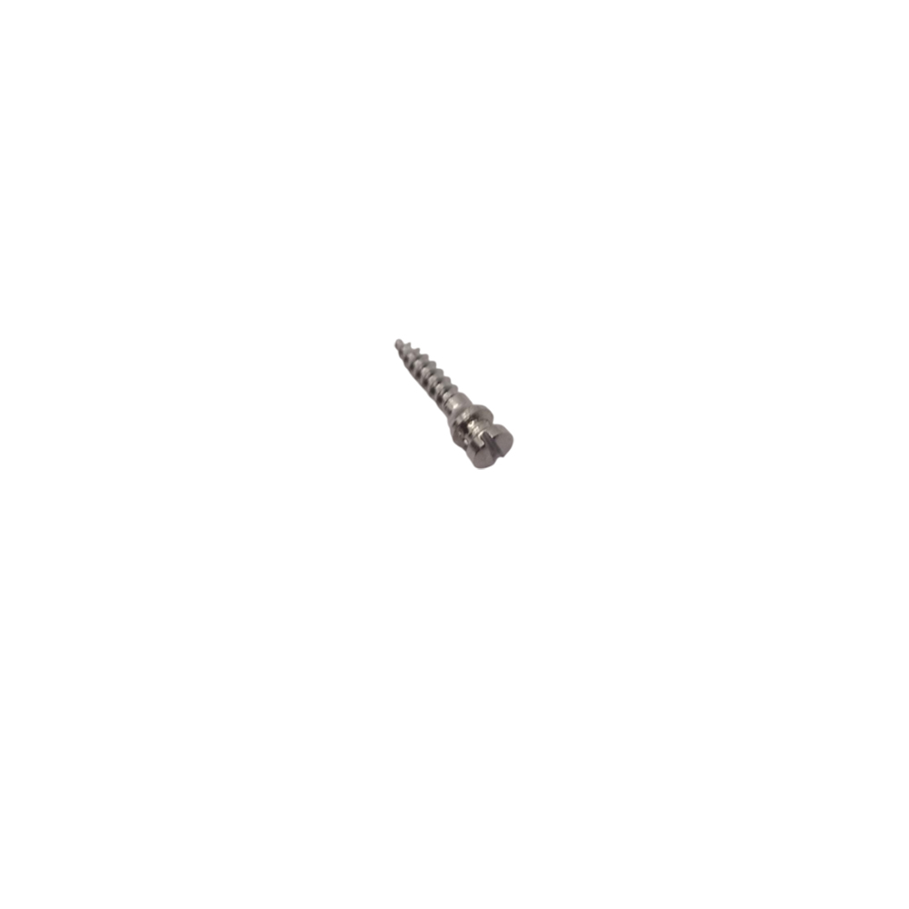 SK Surgicals SS IMF Screws - 2mm x 8mm (2008SI)