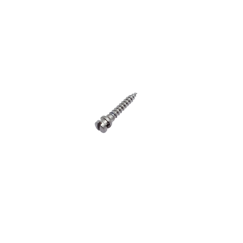 SK Surgicals SS IMF Screws - 2mm x 10mm (20010SI)