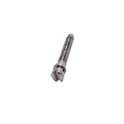 SK Surgicals SS IMF Screws (Pack of 5) - 6