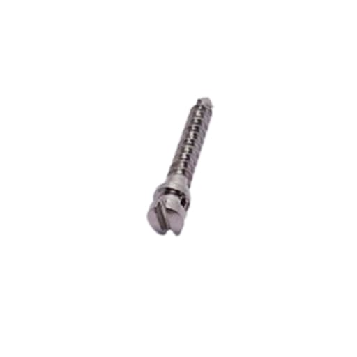 SK Surgicals SS IMF Screws (Pack of 5)