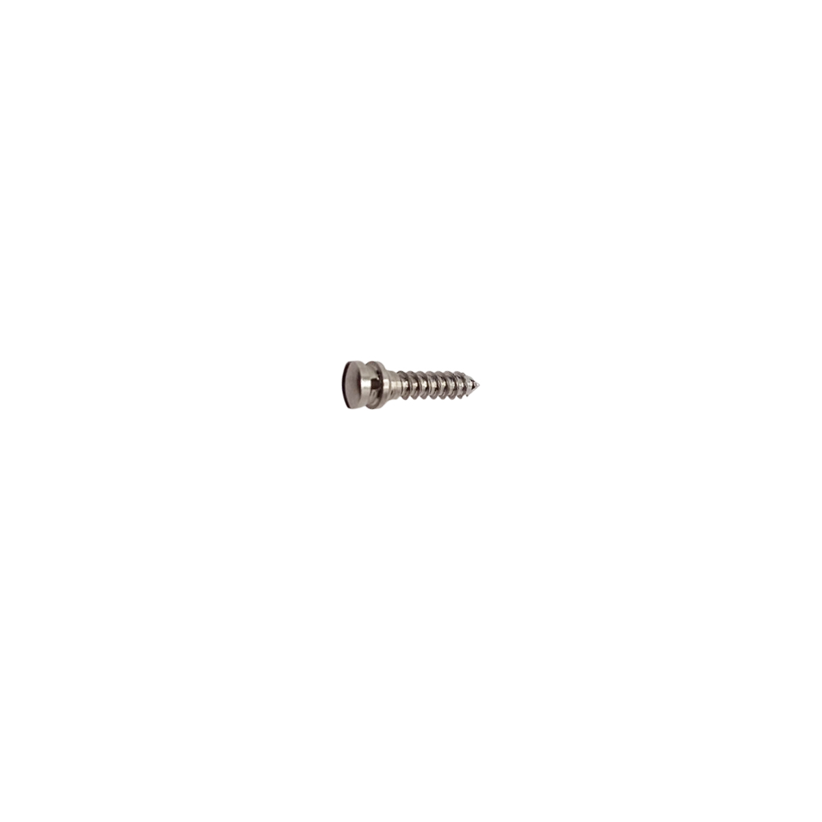 SK Surgicals SS IMF Screws - 2.5mm x 10mm (25010SI)