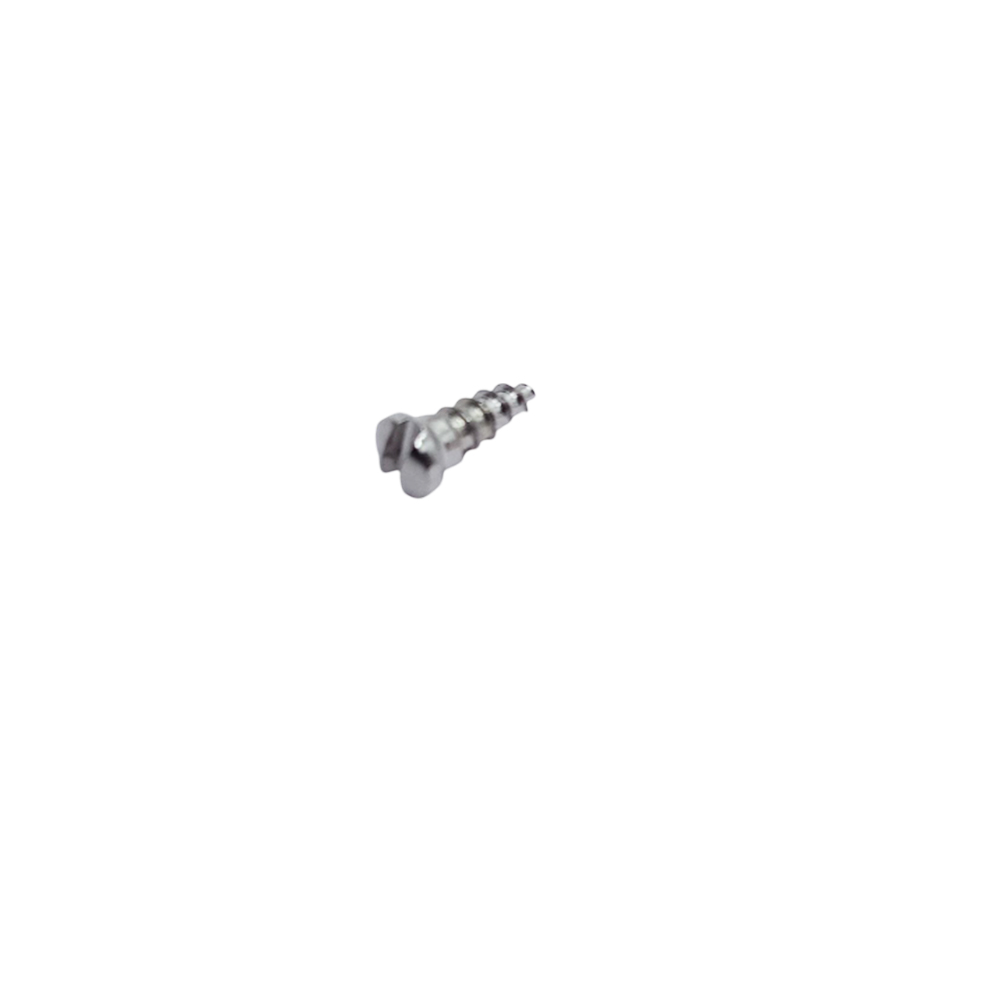 SK Surgicals SS Single Slot Screws - 2mm x 5mm (2005S)