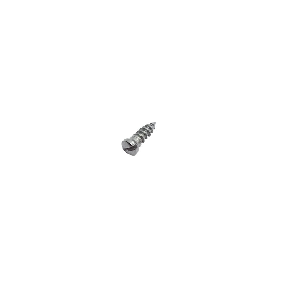 SK Surgicals SS Single Slot Screws - 2mm x 6mm (2006S)