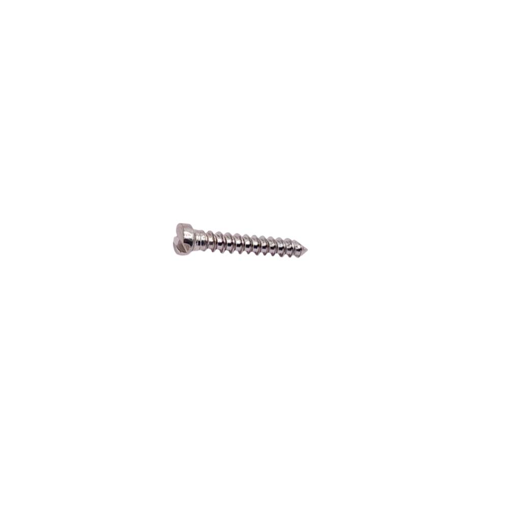 SK Surgicals SS Single Slot Screws - 2mm x 12mm (20012S)