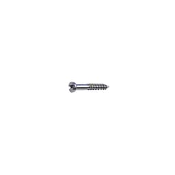 SK Surgicals SS Lag Screws - 2mm (Pack of 5) - 3