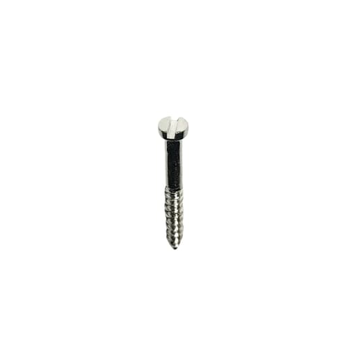 SK Surgicals SS Lag Screws - 2mm (Pack of 5)