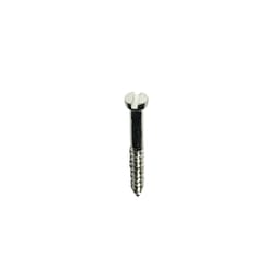SK Surgicals SS Lag Screws - 2mm x 32mm (20032SL)