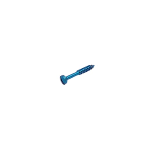 SK Surgicals Titanium Lag Screws - 2.5mm x 16mm (25016TL)