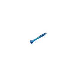 SK Surgicals Titanium Lag Screws - 2.5mm x 22mm (25022TL) - 2