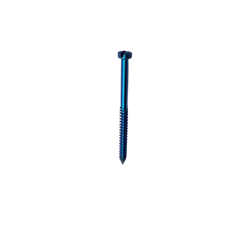 SK Surgicals Titanium Lag Screws - 2.5mm x 30mm (25030TL)