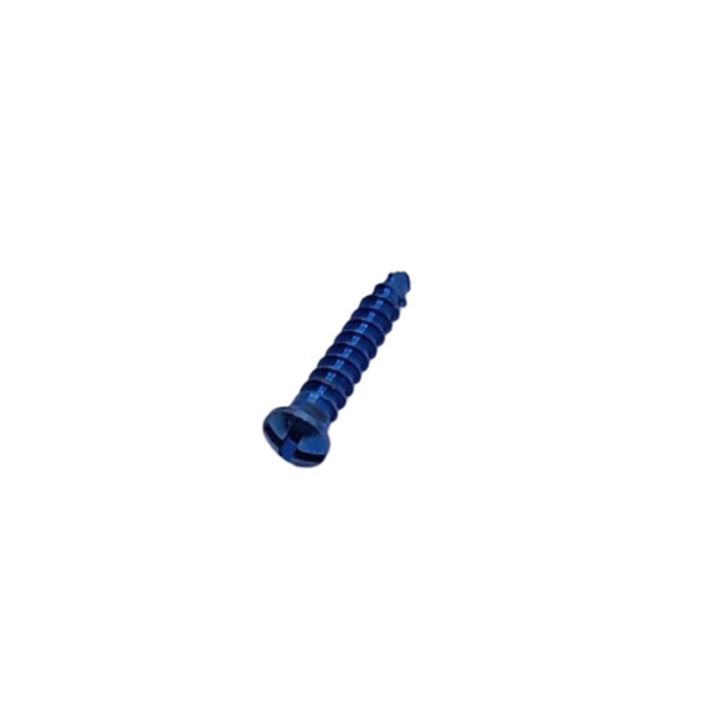 SK Surgicals Titanium Cross Head Screws - 2mm x 10mm (20010TC)