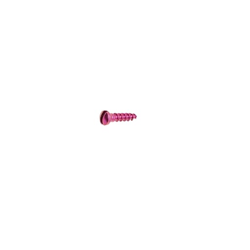 SK Surgicals Titanium Single Slot Screws - 1.5mm x 6mm (1506T) (Pack of 5 )