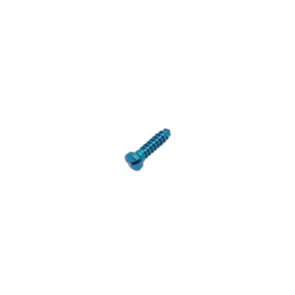 SK Surgicals Titanium Single Slot Screws - 2.5mm x 10mm (25010T)