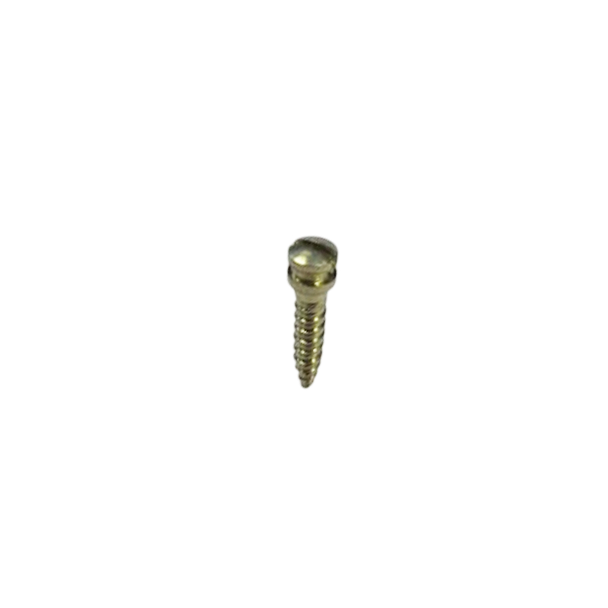 SK Surgicals Titanium IMF Screws - 2mm x 8mm (2008TI)