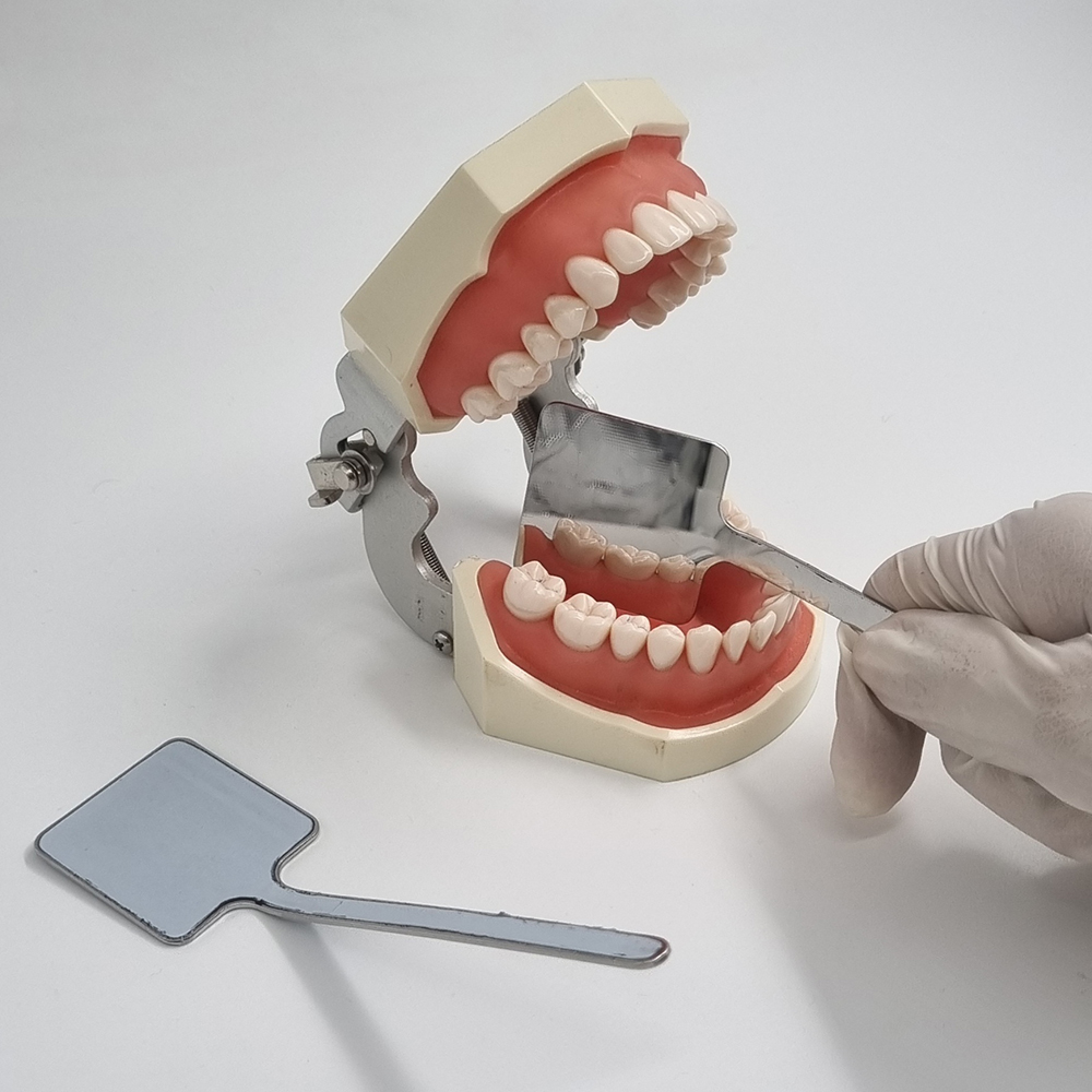 Julldent 115 Smart Mirror For Dental Photography