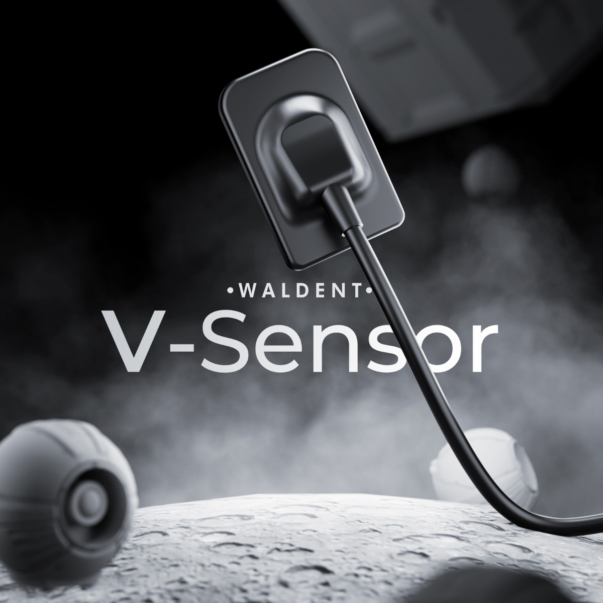 Waldent Carpo RVG V-Sensor Size - 2 