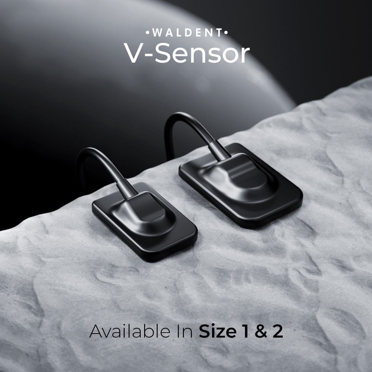 Waldent Carpo RVG V-Sensor Size - 2 