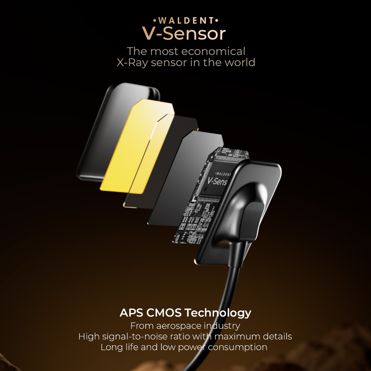 Waldent Carpo RVG V-Sensor Size - 2 