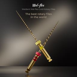 Waldent Wal-flex Gold Rotary Files - Assorted - 4