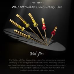 Waldent Wal-flex Gold Rotary Files - Assorted - 3
