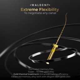 Waldent Wal-flex Gold Rotary Files 25mm - 4