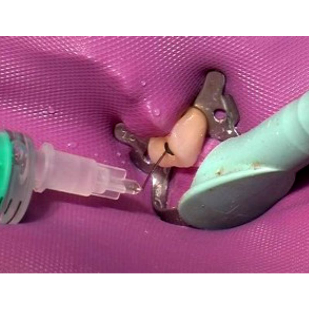 Waldent Sodium Hypochlorite 5% 