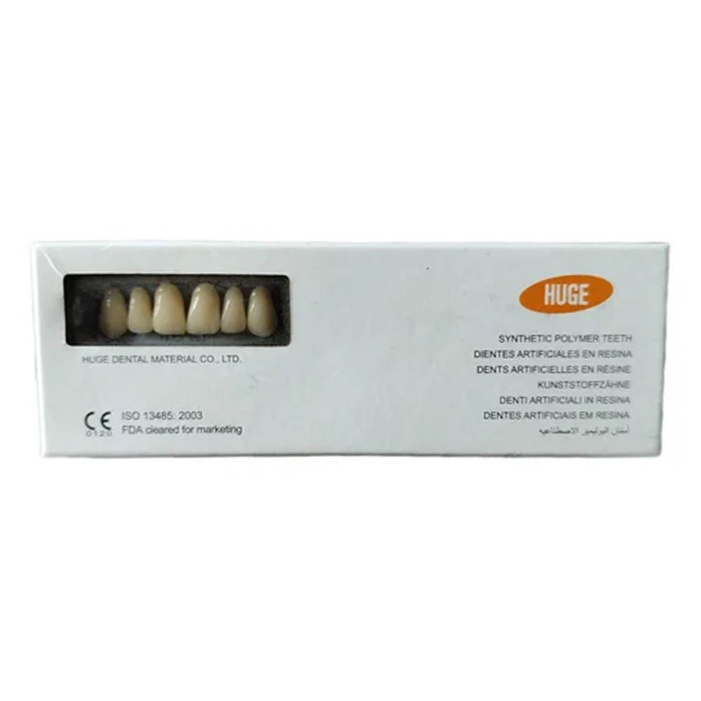 Huge Dental Sonning Acrylic Denture Teeth A1