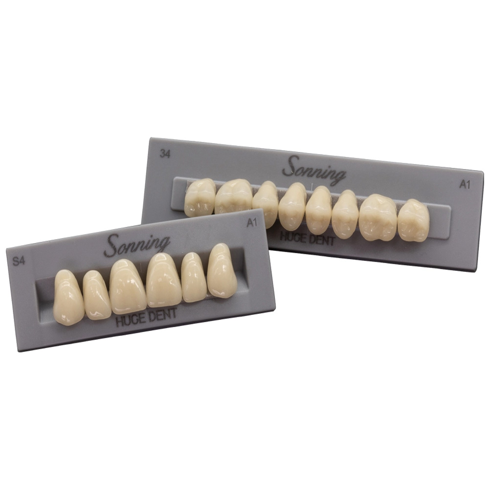 Huge Dental Sonning Acrylic Denture Teeth A1