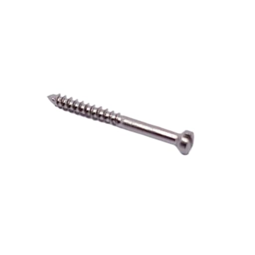 SK Surgicals SS Lag Screws - 2mm (Pack of 5)