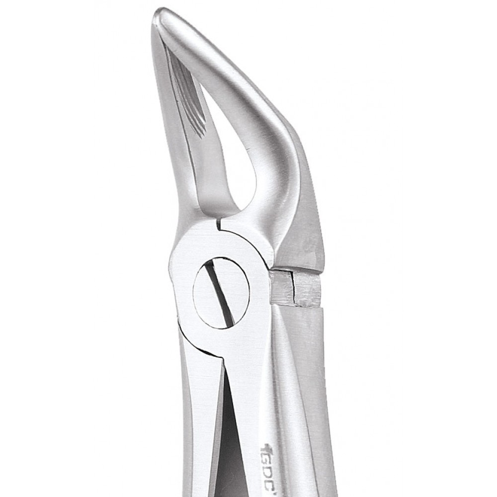 GDC Extraction Forceps Lower Roots - 31 Standard (FX31S)