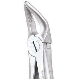 GDC Extraction Forceps Lower Roots - 31 Standard (FX31S) - 2