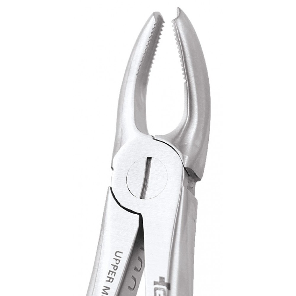 GDC Extraction Forceps Upper Molar Left Premium (FX18P)