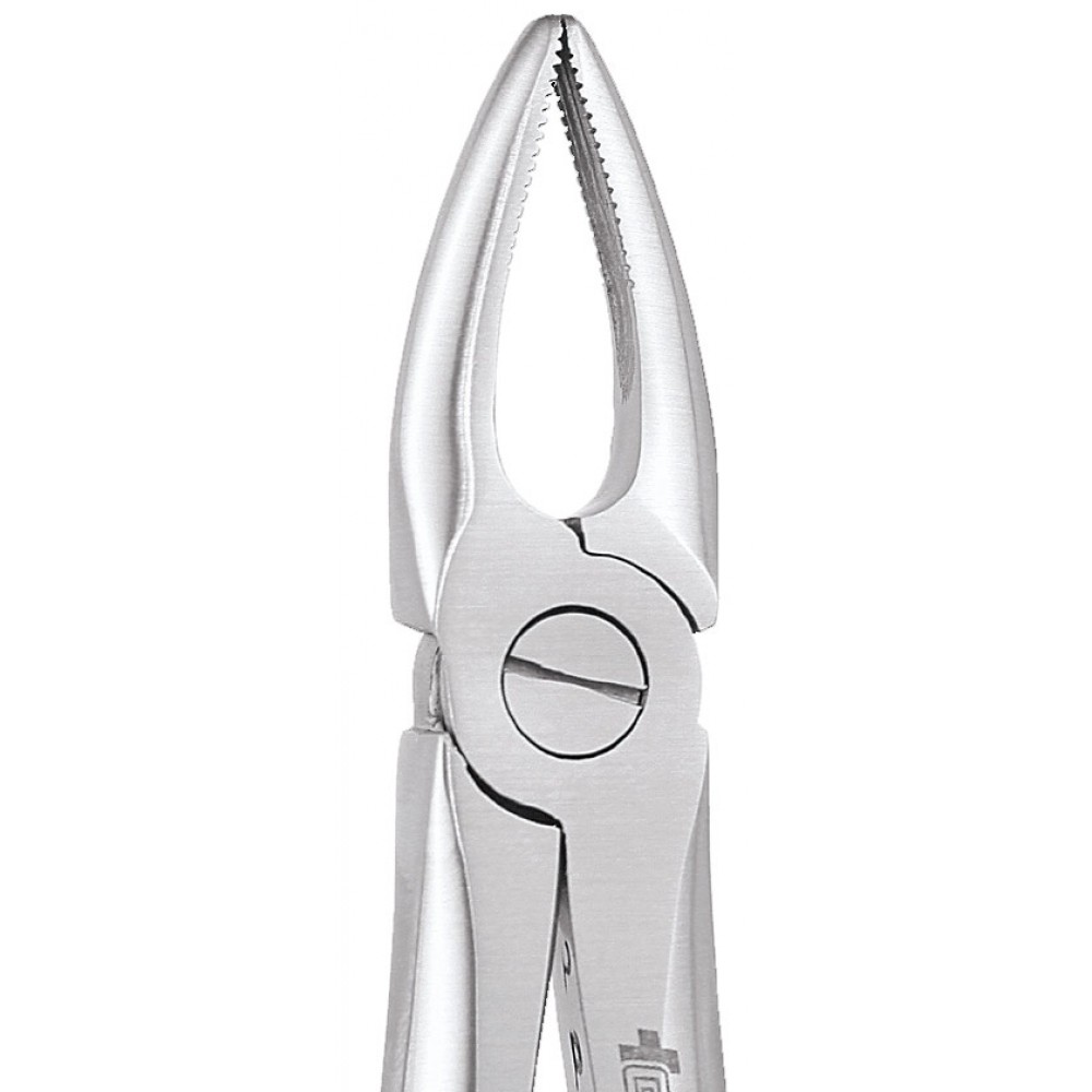 GDC Extraction Forceps Upper Roots - 29 Premium (Fx29p)