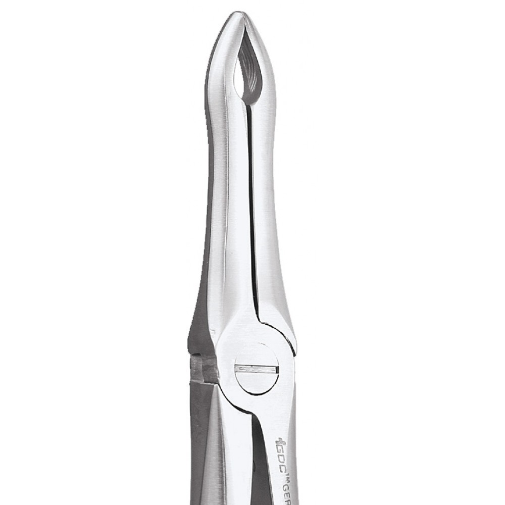 GDC Extraction Forceps Upper Roots - 41 Premium (FX41P)