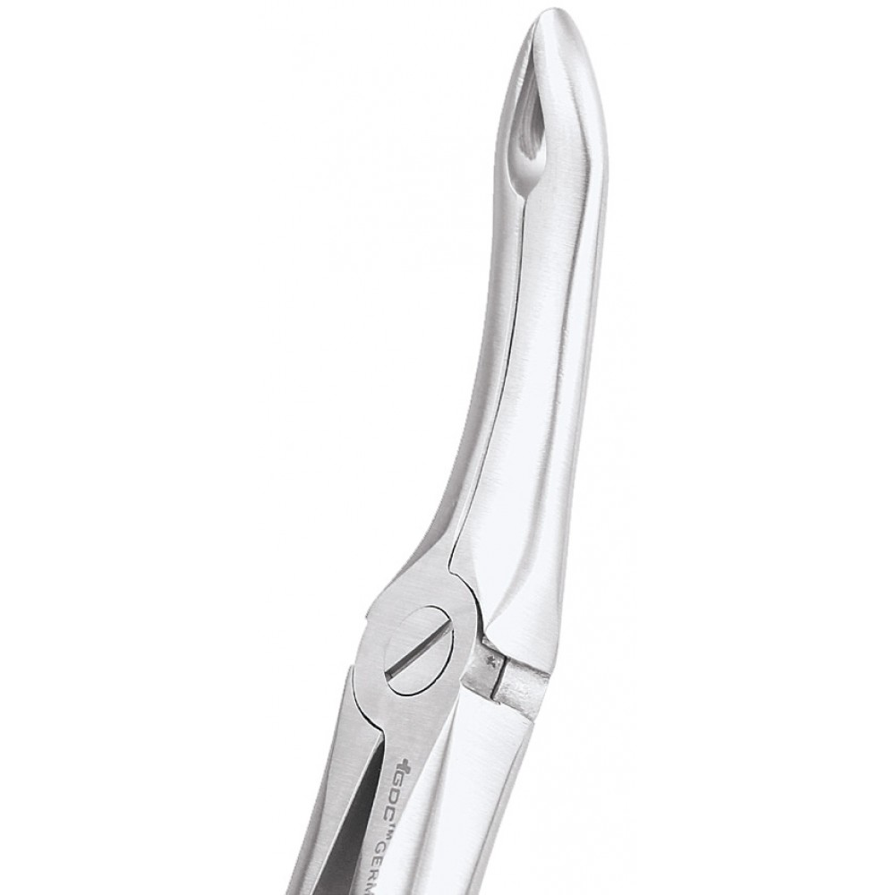 GDC Extraction Forceps Upper Roots - 44 Standard (FX44S)