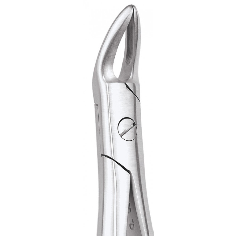 GDC Extraction Forceps Upper Roots - 76N Standard (FX76NS)