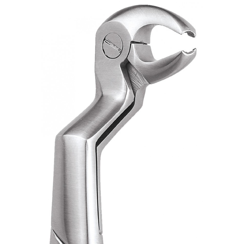 GDC Extraction Forceps Lower Molars And Wisdoms Right - Premium (Fx22 1/2rp)