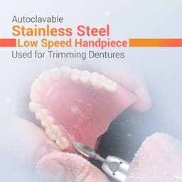 Waldent Premium Straight Handpiece (W-124) - 20
