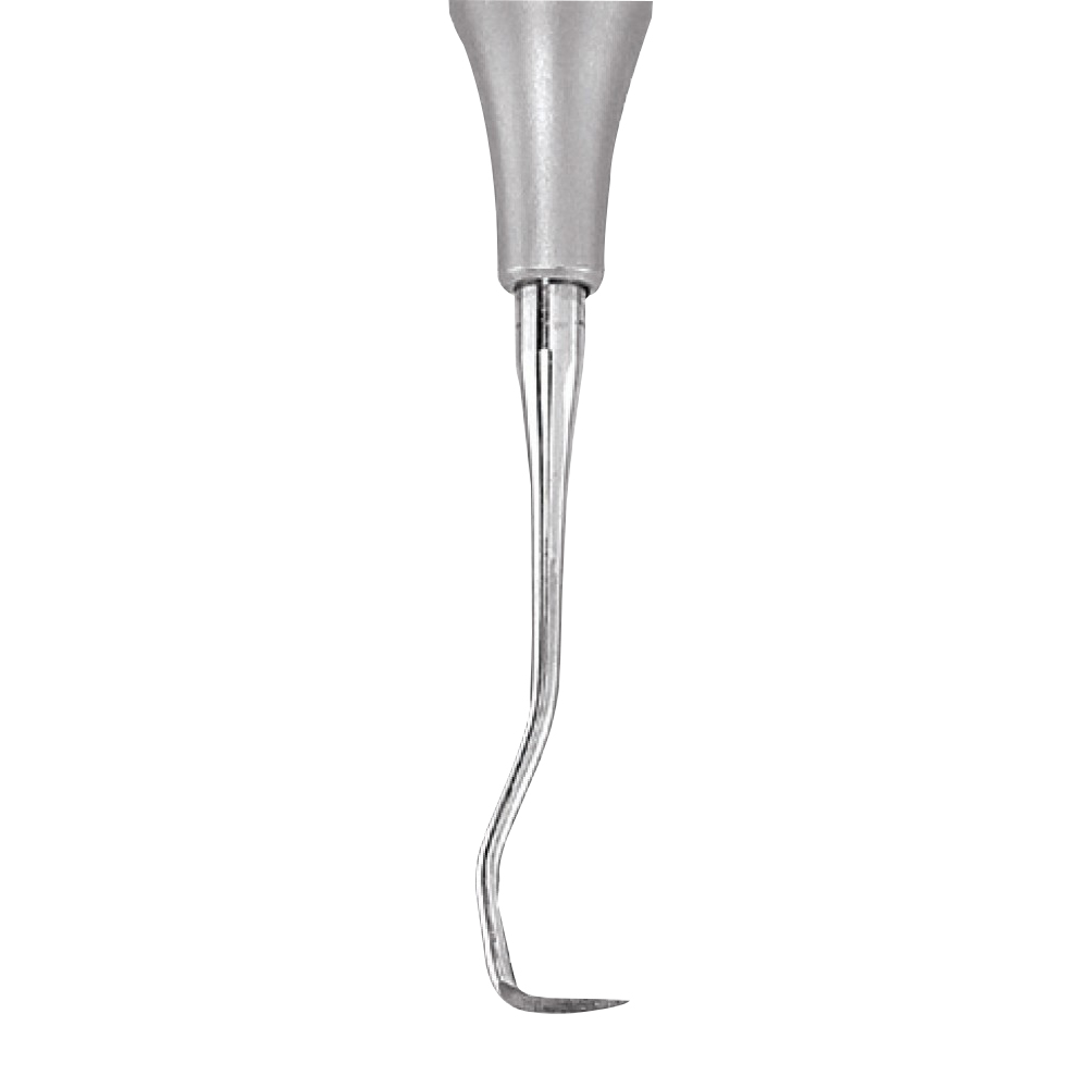 Waldent Sickle Scalers 