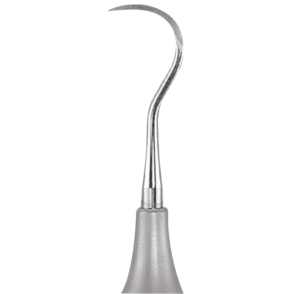 Waldent Sickle Scalers 