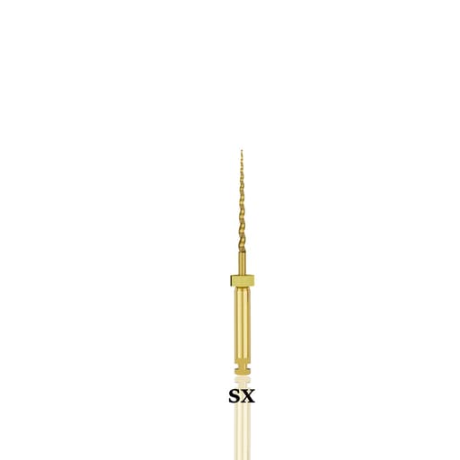 Endo Excellence Nano Gold Rotary Files -19mm SX (Pack of 6)