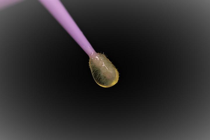 Prevest Shield Activ