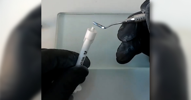 Angelus Bio-C Repair