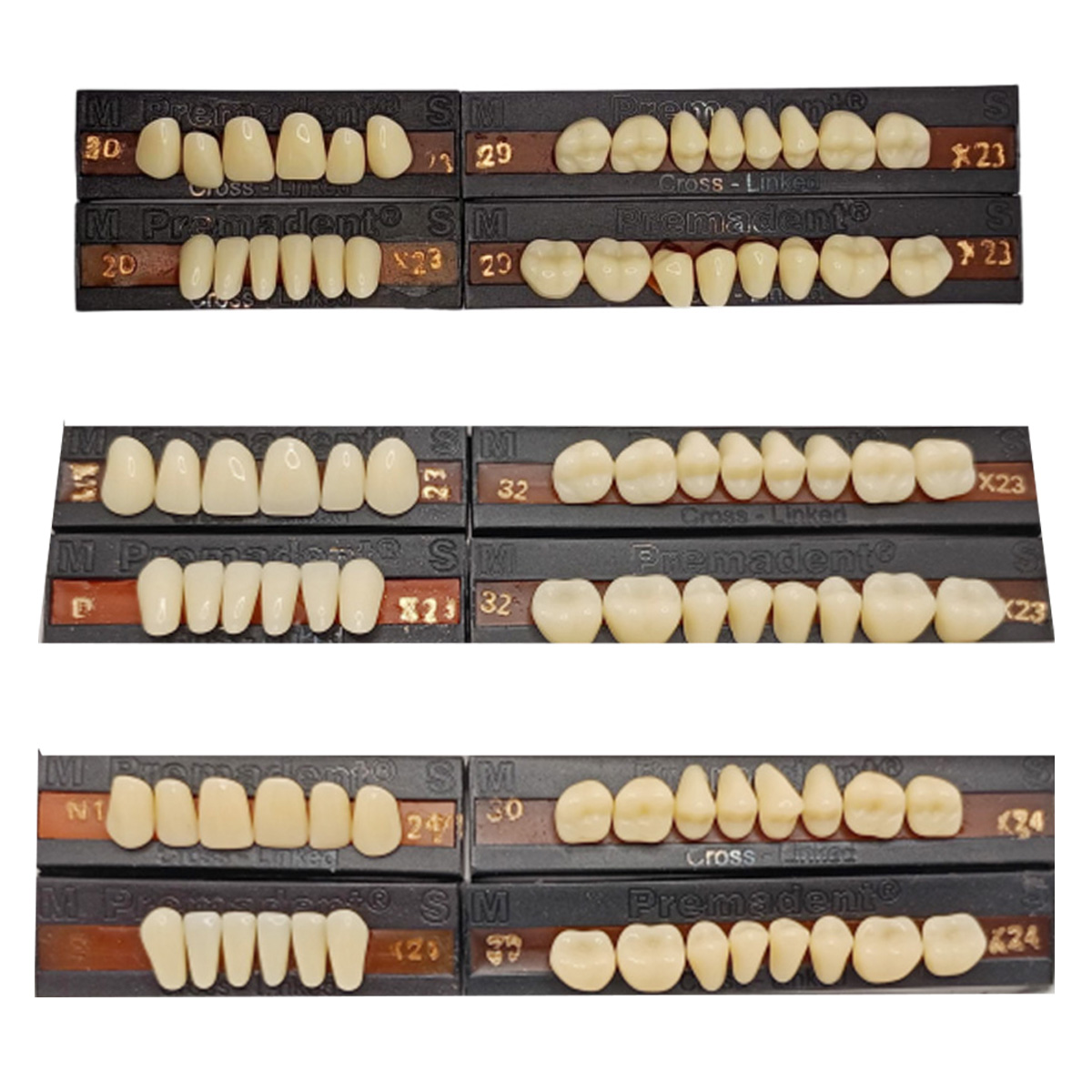 Premadent Teeth Set Cross Linked Acrylic Teeth
