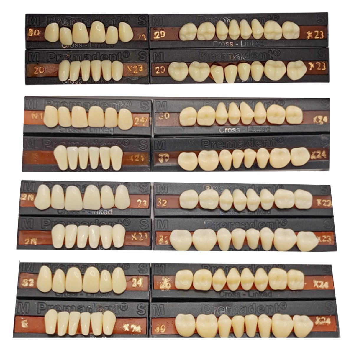 Premadent Teeth Set Cross Linked Acrylic Teeth