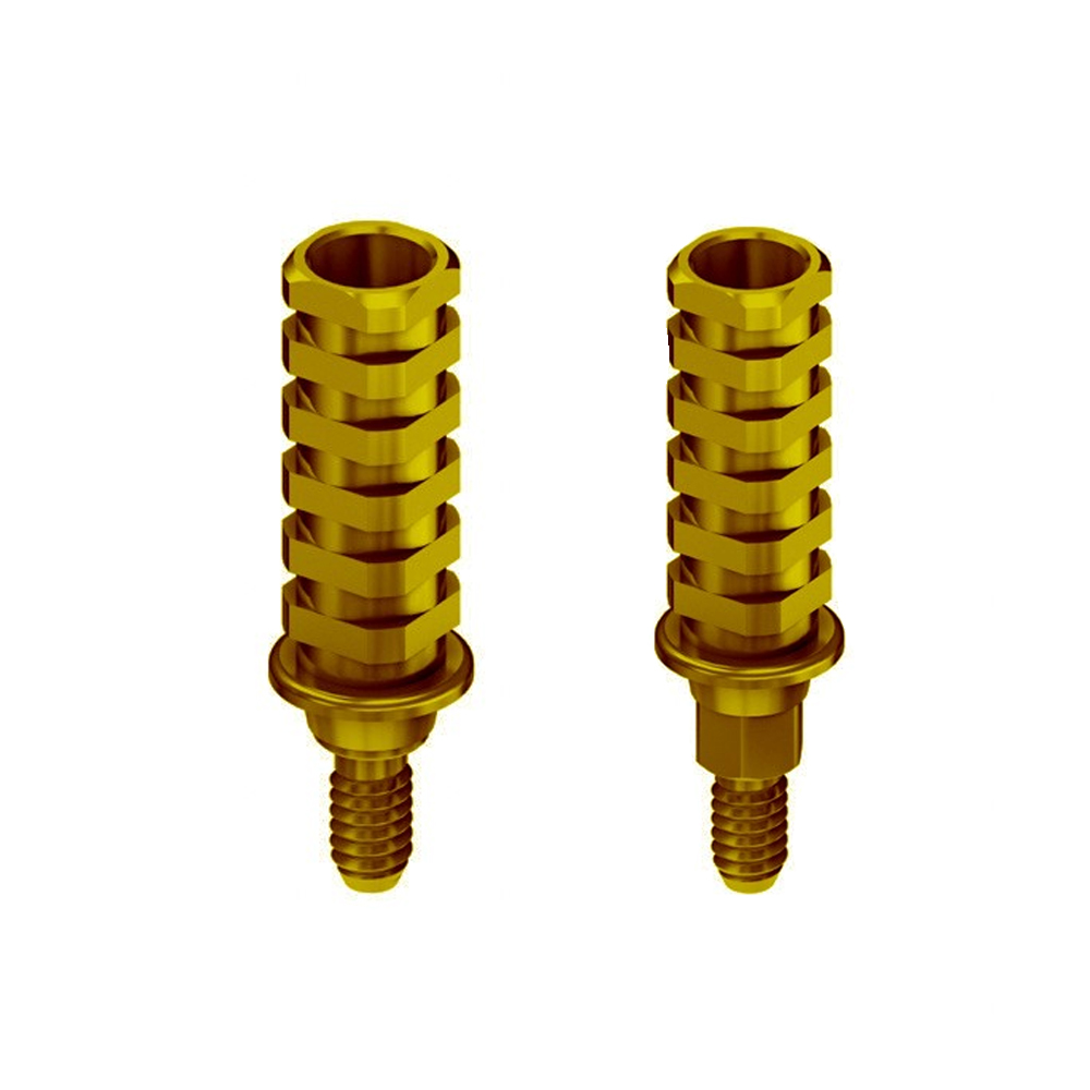 Adin CloseFit NP Temporary Abutments