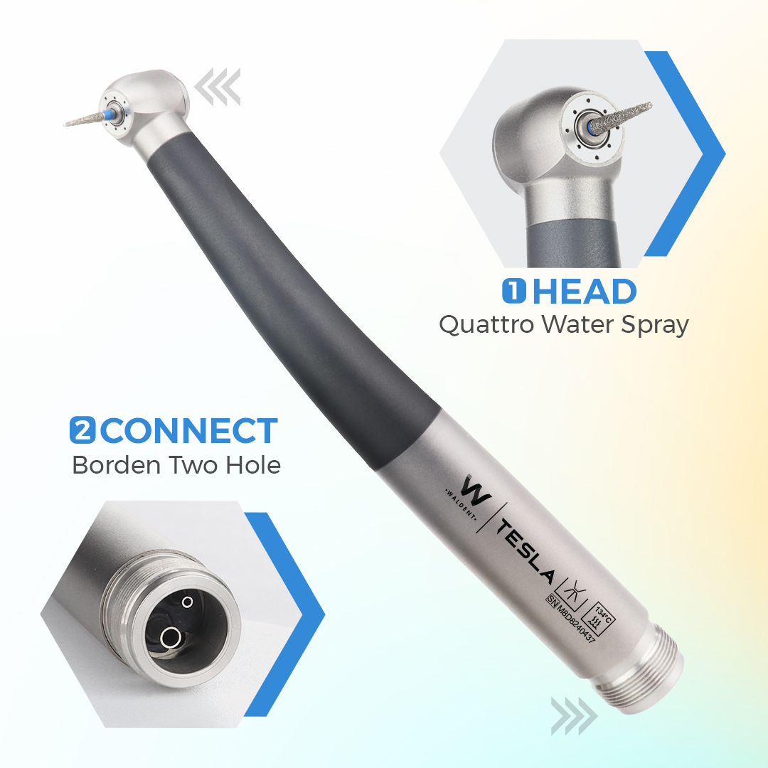 Waldent Tesla Airotor Standard Head And Accessories